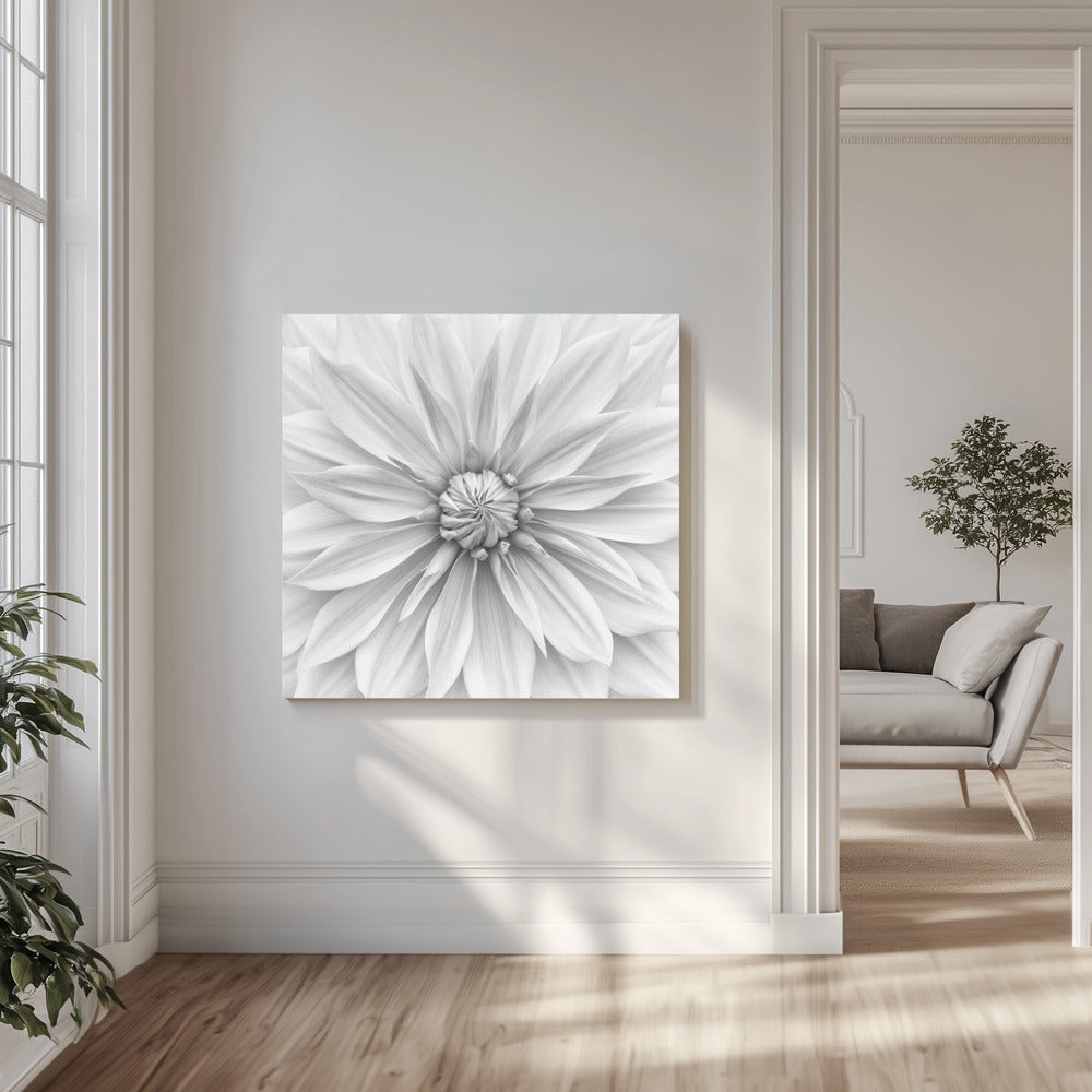 Hamari Gold in Monochrom | Leinwand