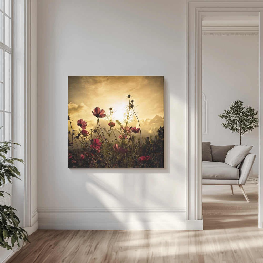Die Sonne beobachten | Leinwand
