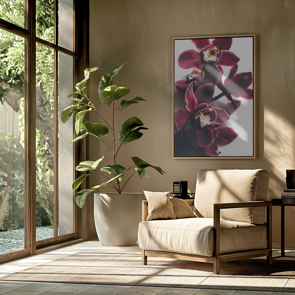 Rote Orchideen mit zarten Blütenblättern | Poster