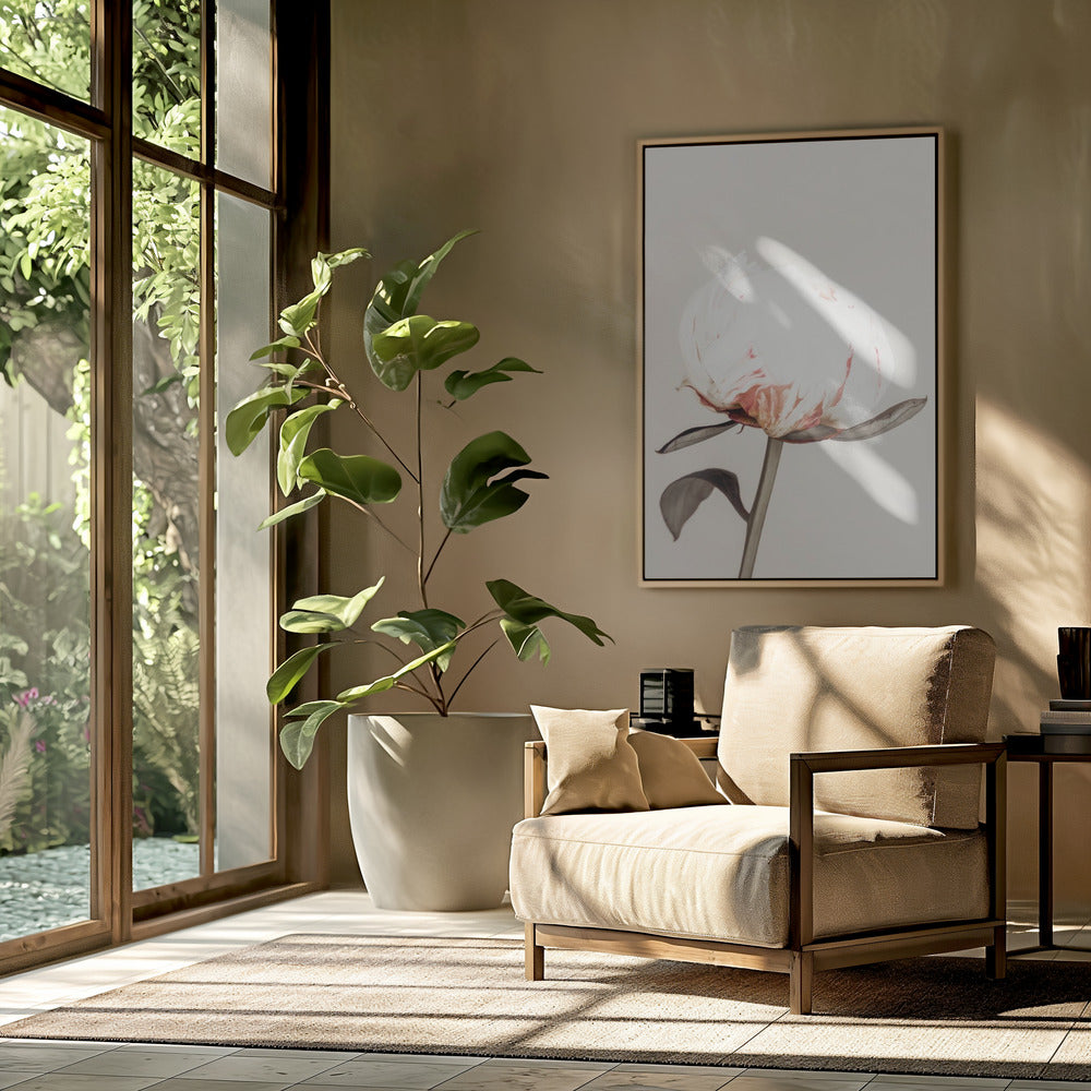 Peony 13 | Poster