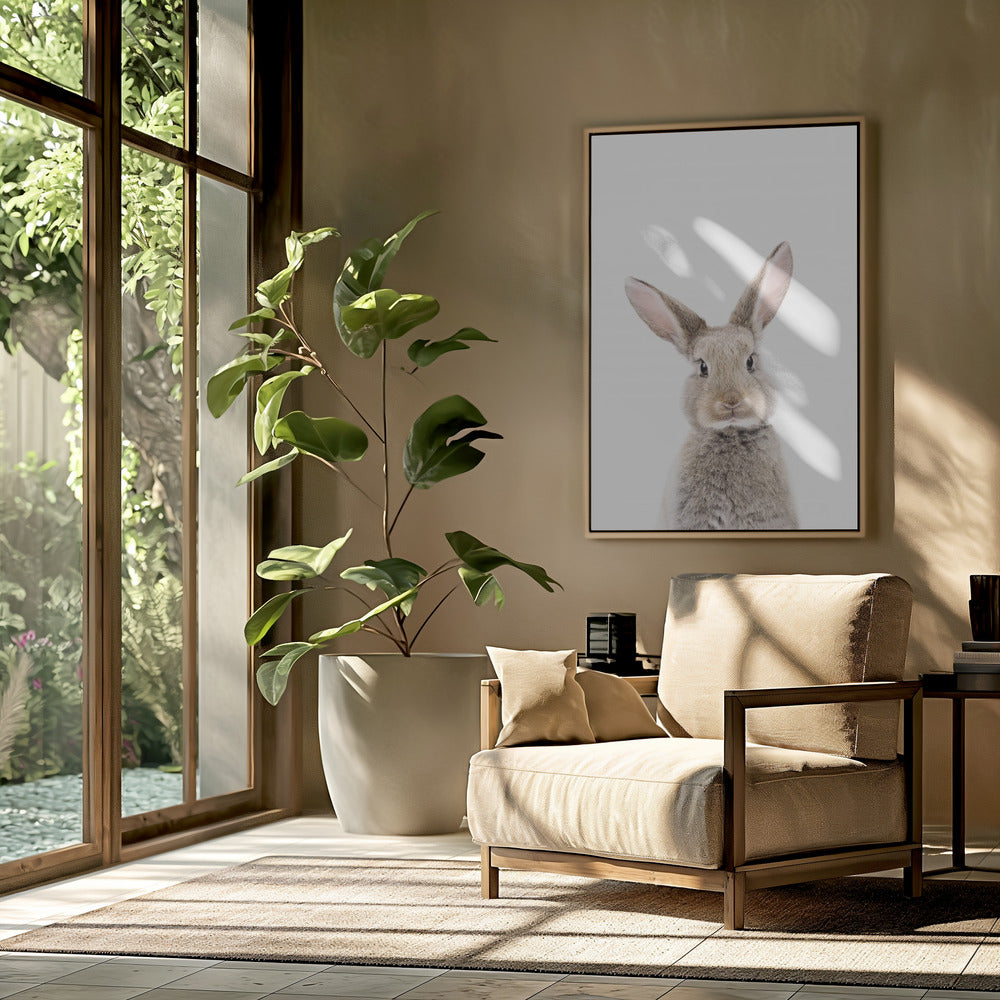 Baby Rabbit | Poster