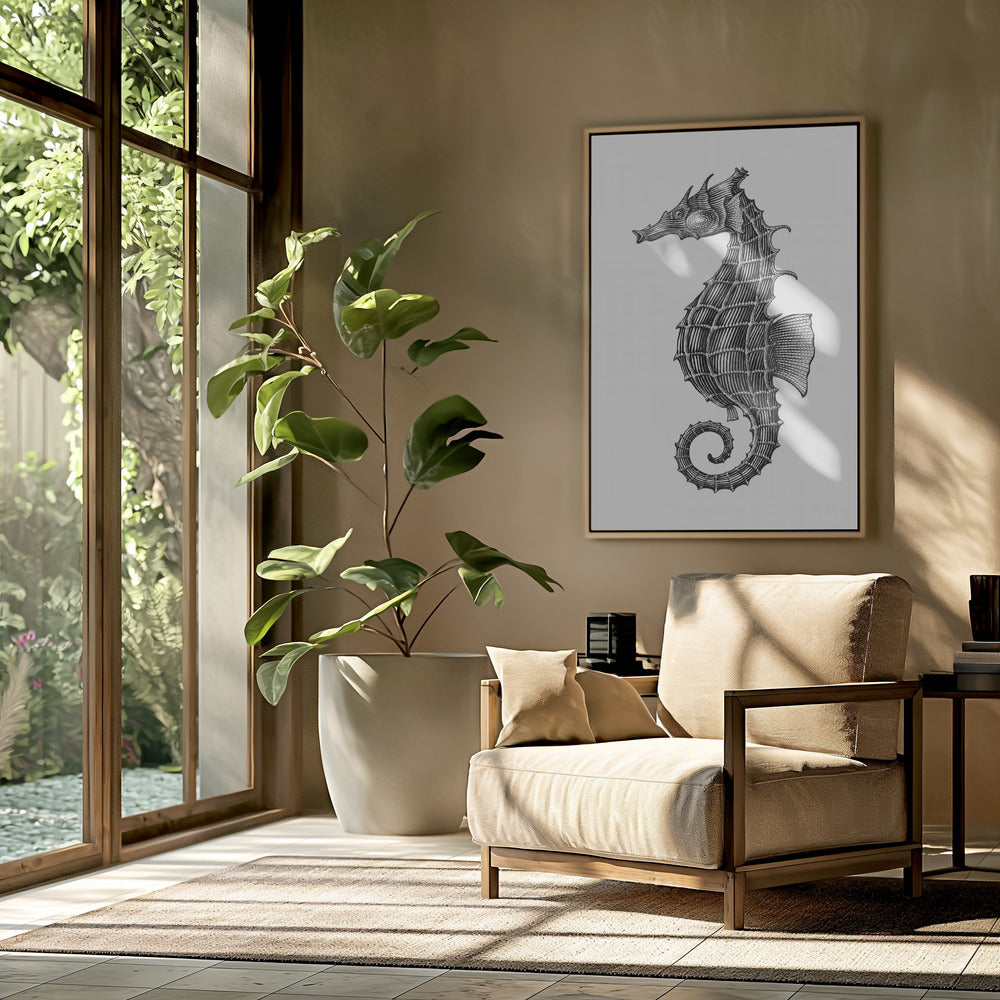 Seepferdchen | Poster