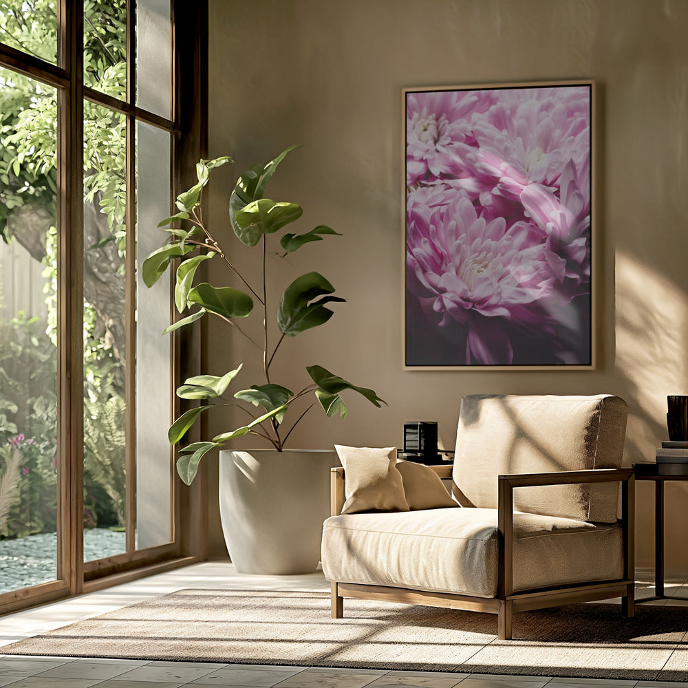rosa Chrysanthemenblüte | Poster