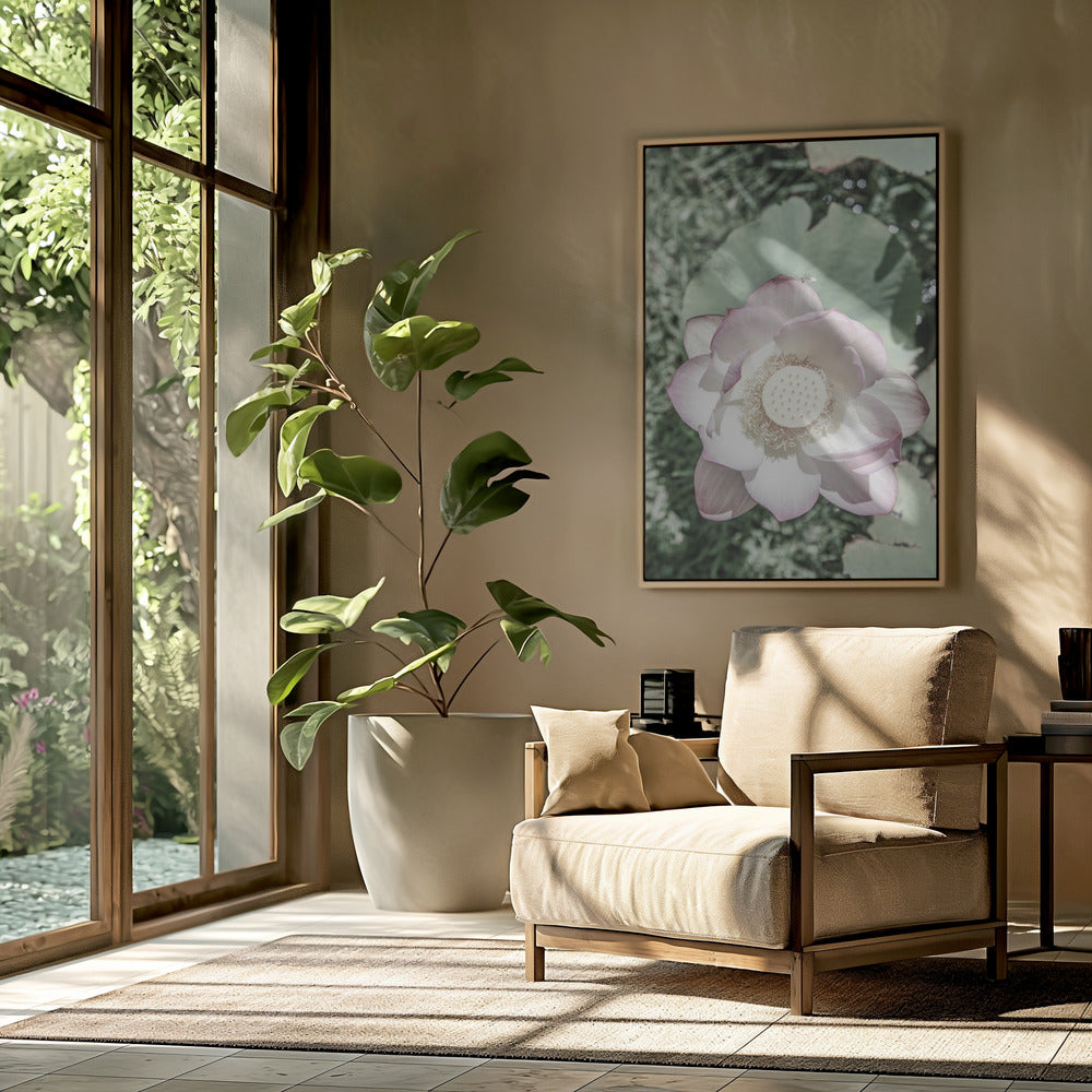 Lotus Gelassenheit | Poster