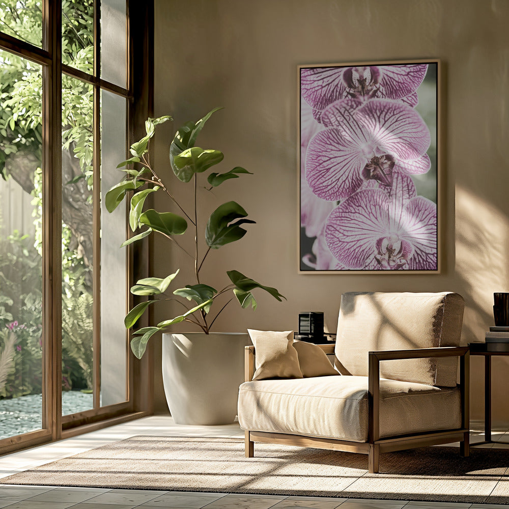 Tiger Blooms | Poster