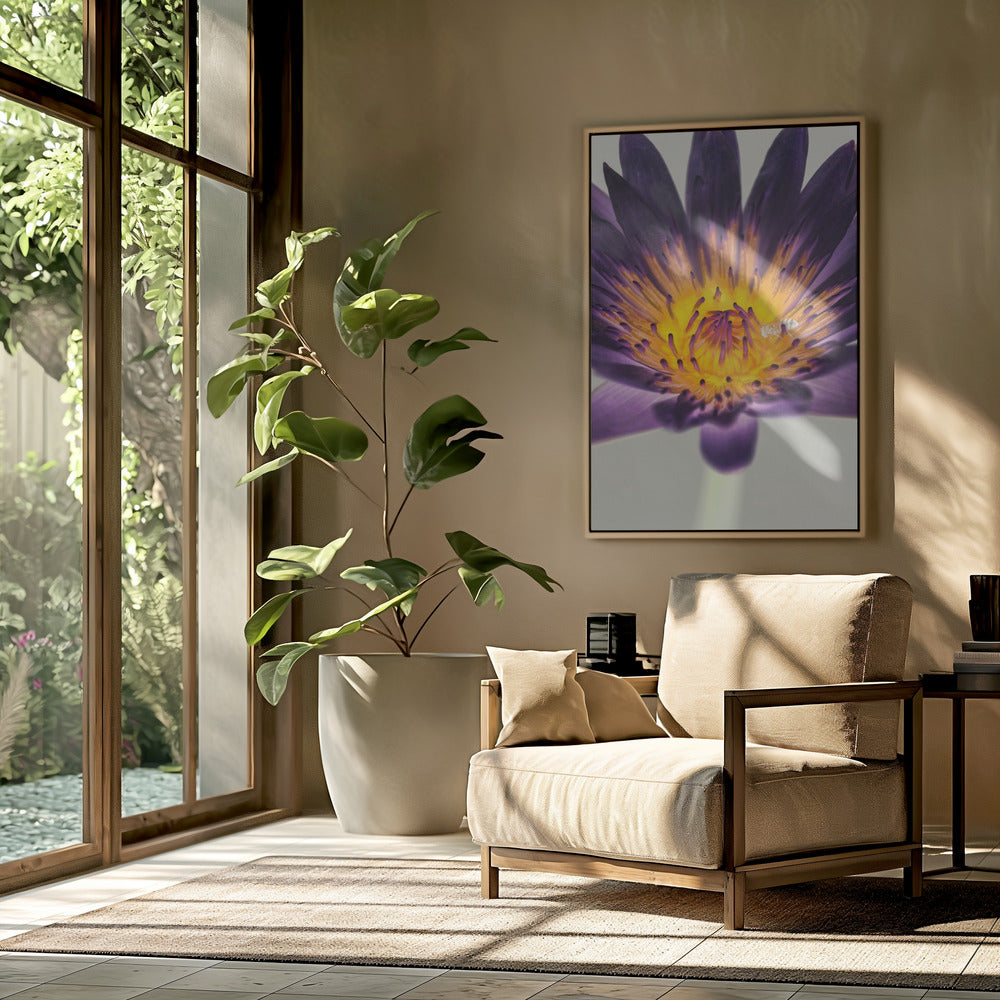 Purple Water Lilly | Poster