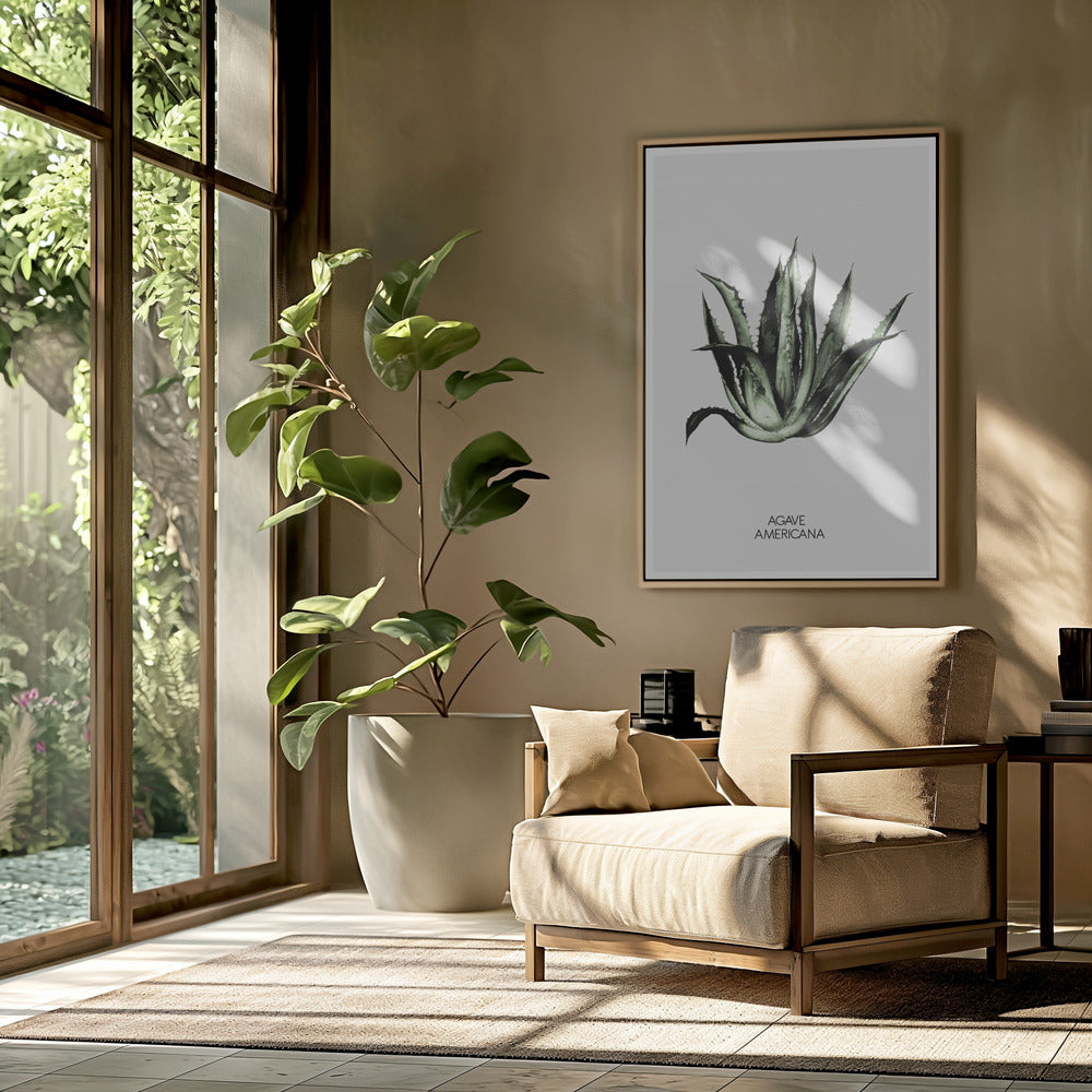Grüne Agave Eleganz | Poster