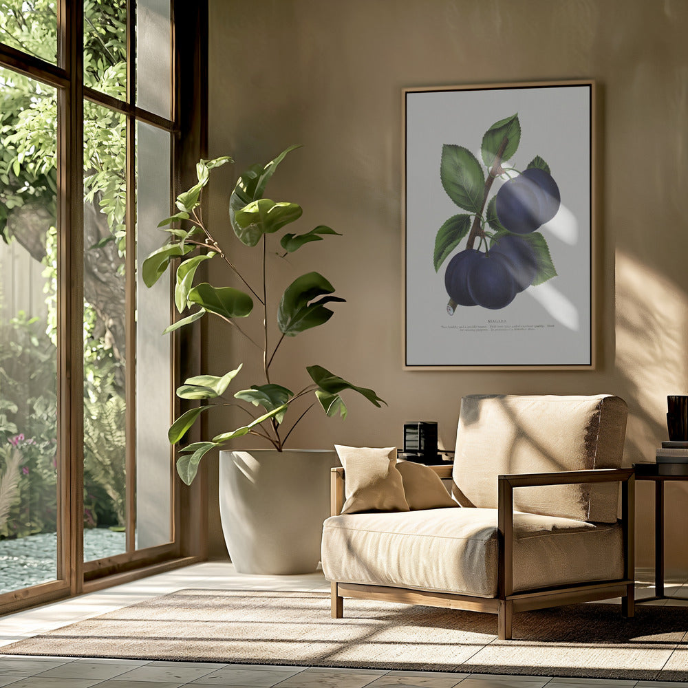 Niagara Plum Lithographie | Poster