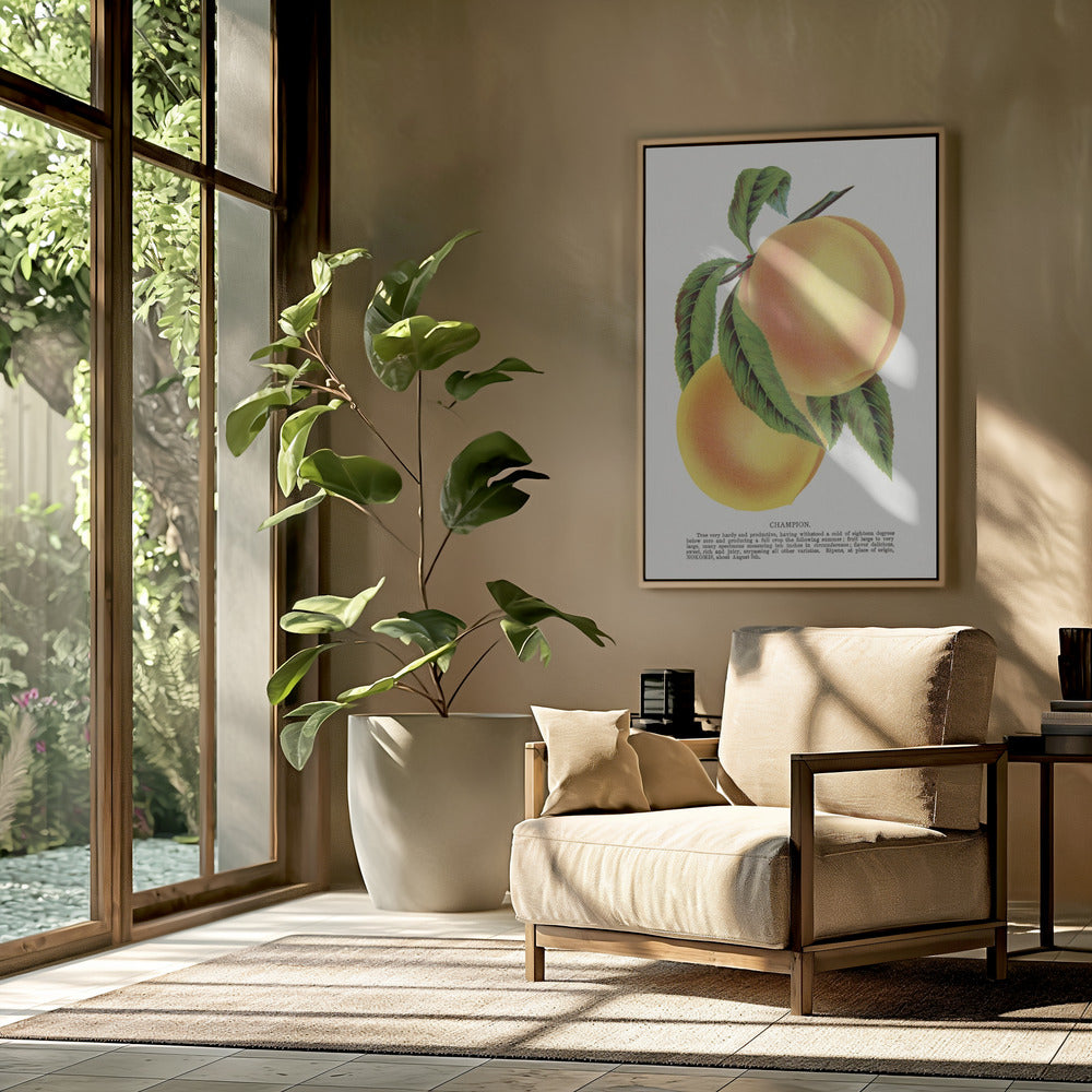 Champion Plum Lithograph | Poster