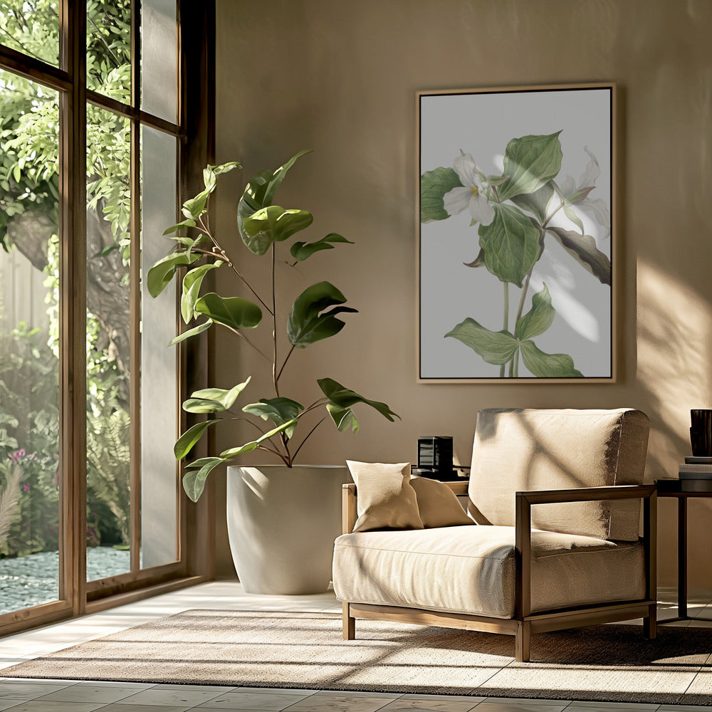 Large White Trillium | Poster