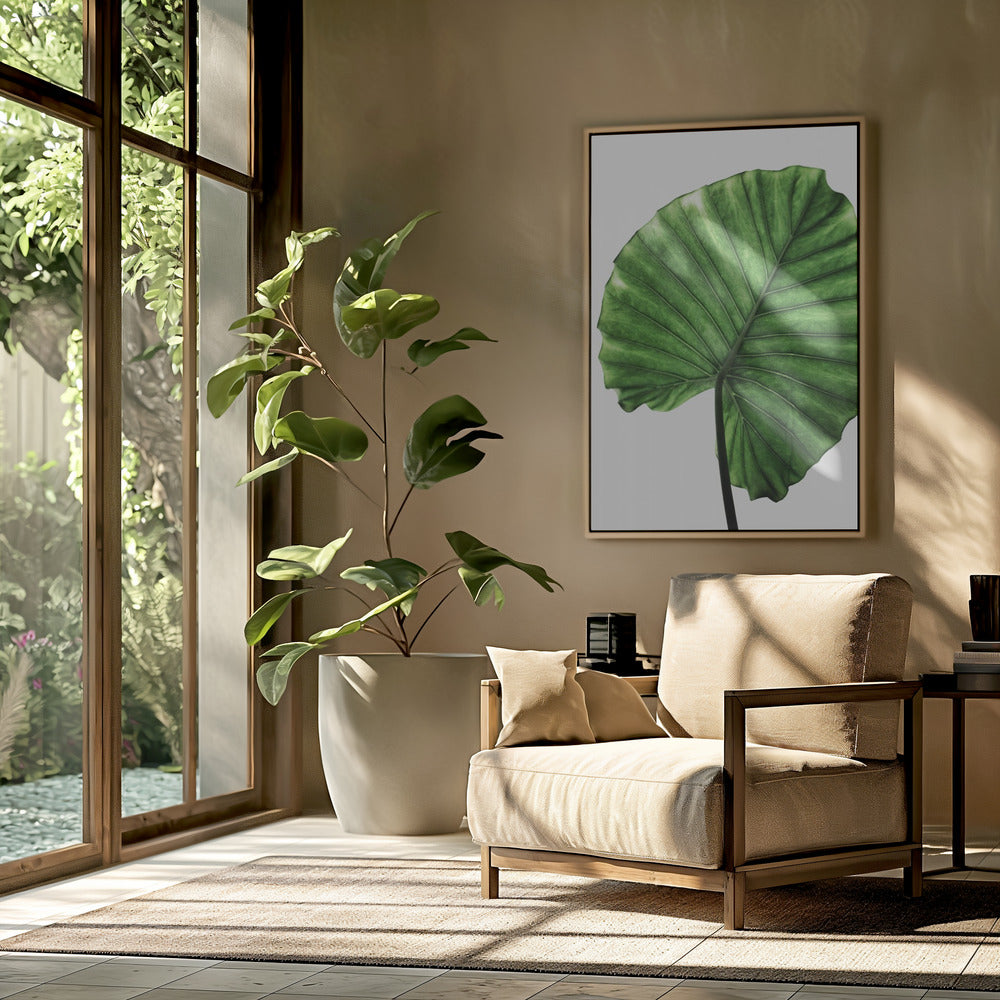 Leaves 11 | Poster