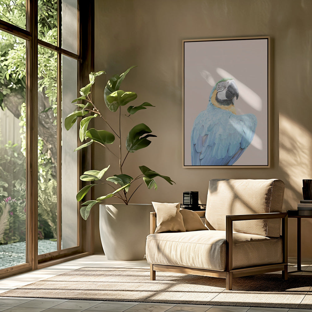 Blue Macaw | Poster