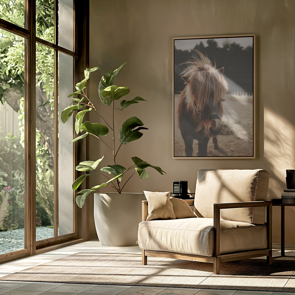 Pony mit zotteliger Mähne | Poster