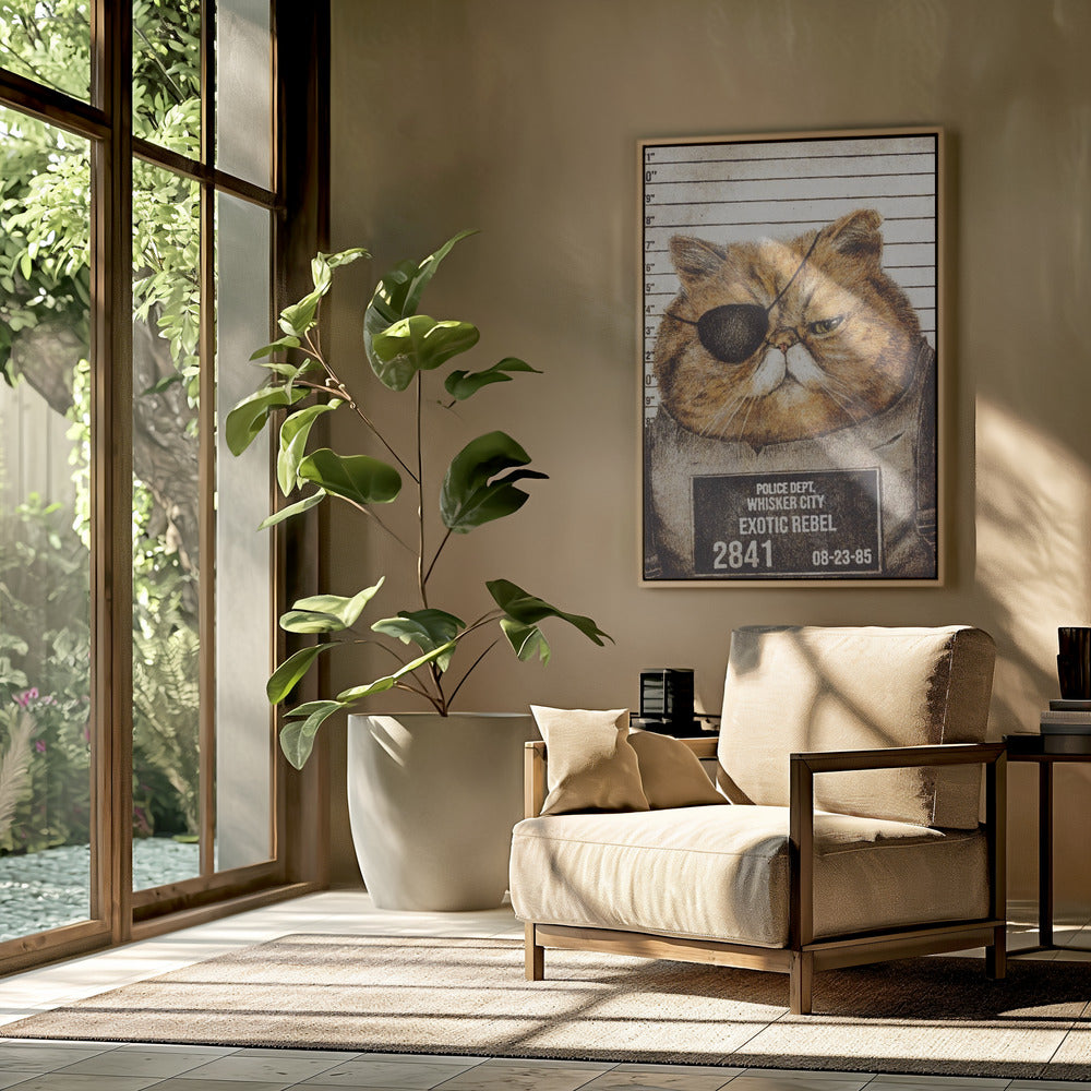 Lustige Katze | Poster