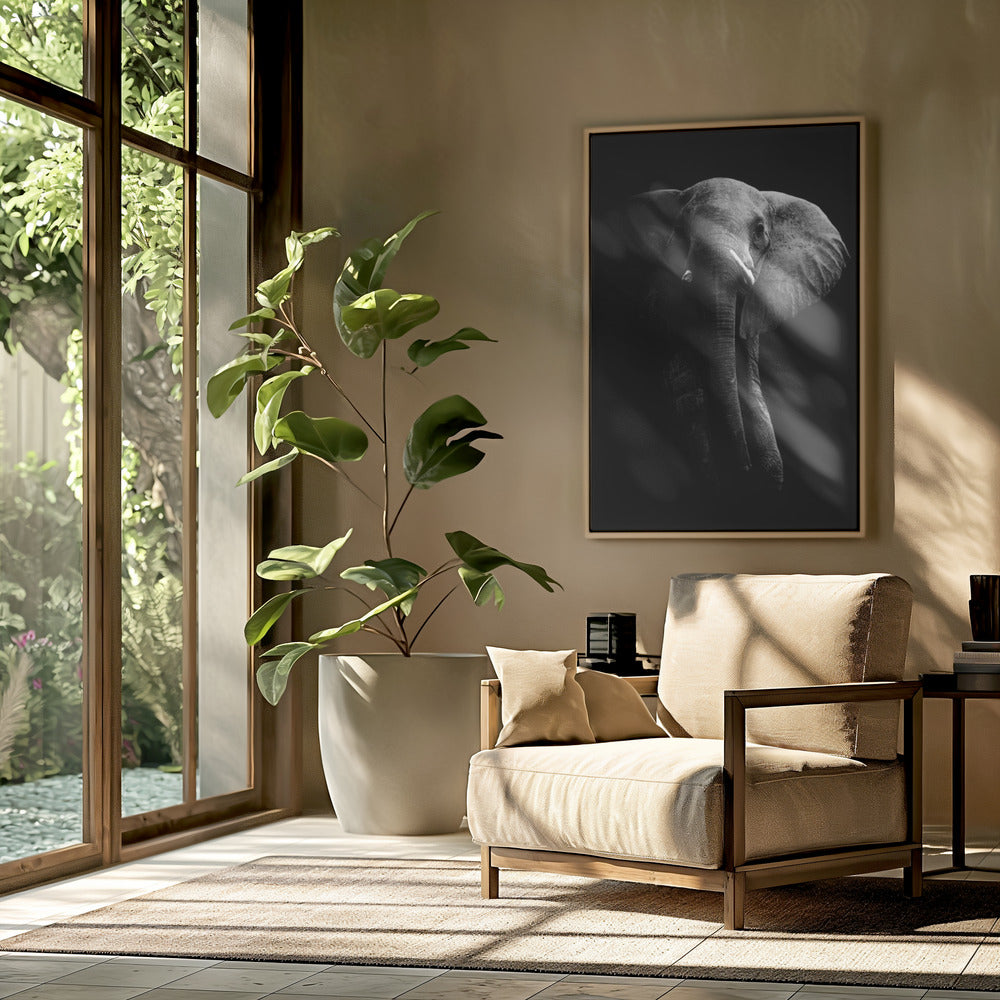 Elefant! | Poster