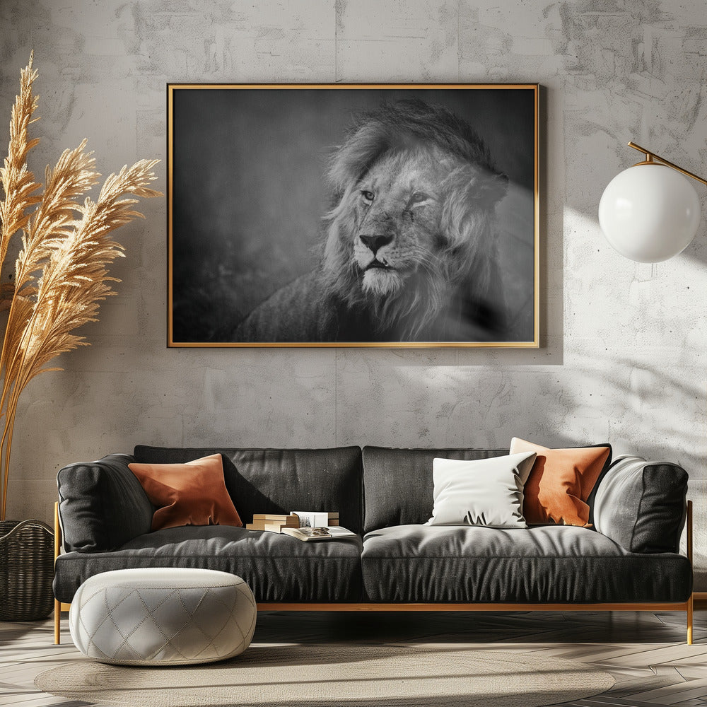 Regal | Leinwand