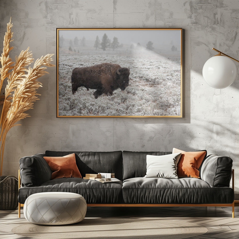 Yellowstone im Spätherbst | Poster