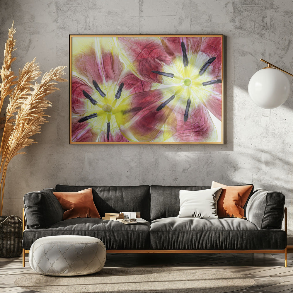 Tulpen | Leinwand