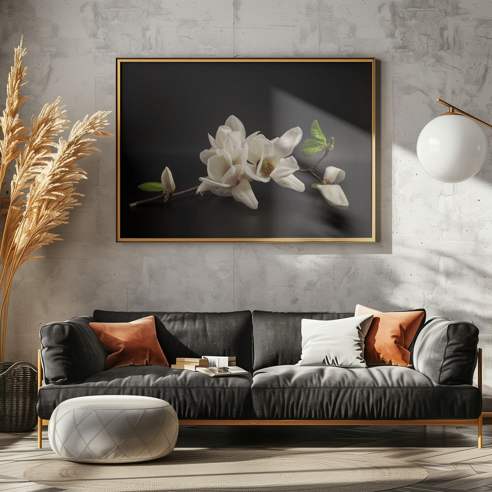 Magnolie | Poster