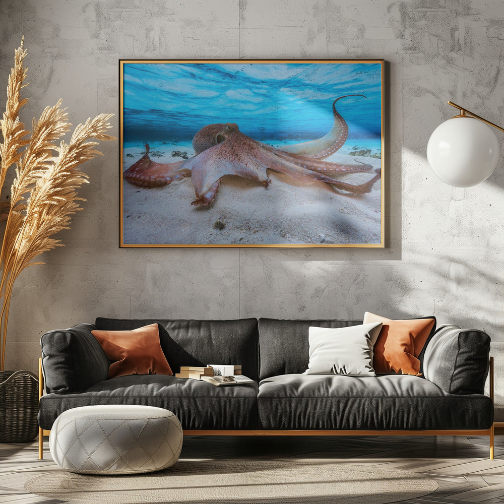 Oktopus | Poster