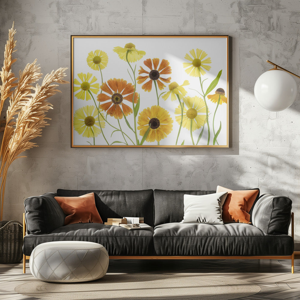 Helenium | Leinwand