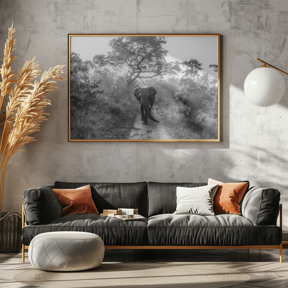 GEHENDER RIESE | Poster