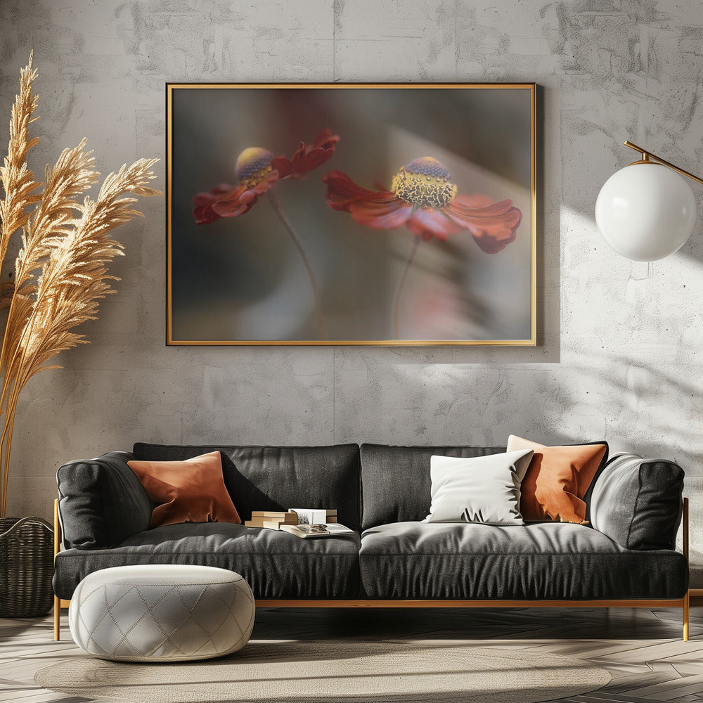 Helenium dance | Canvas