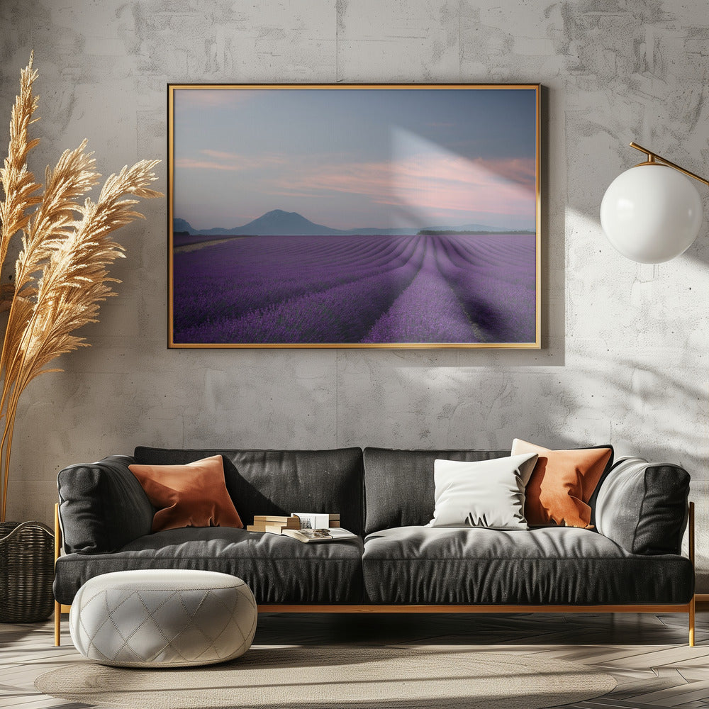 Lavendelfeld | Poster