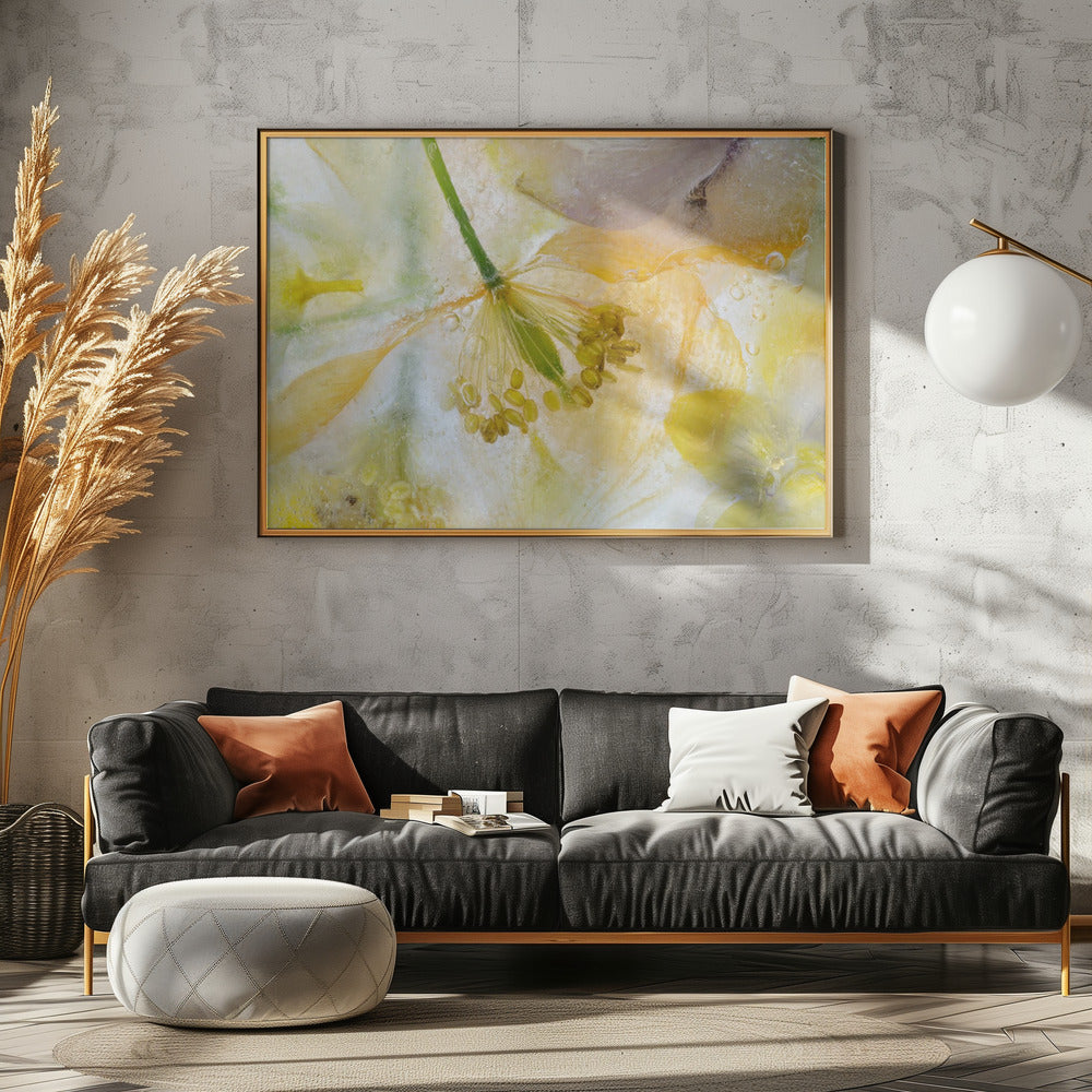 Papaver Ice | Leinwand