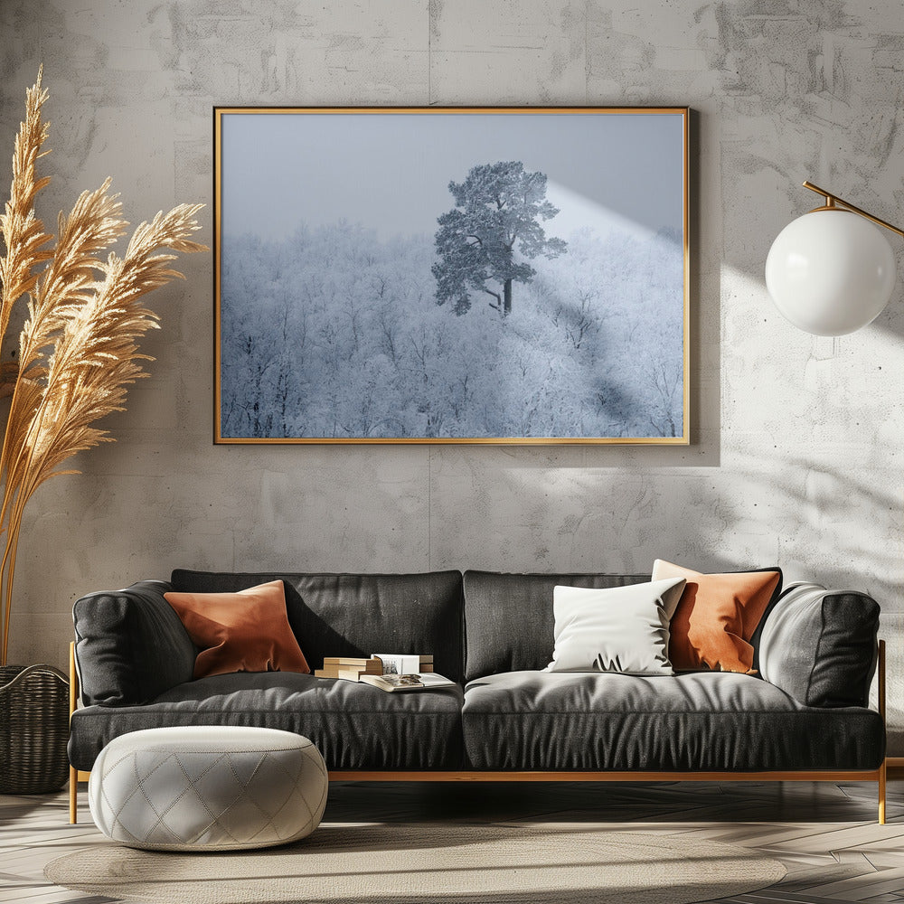 Erster Schnee | Poster