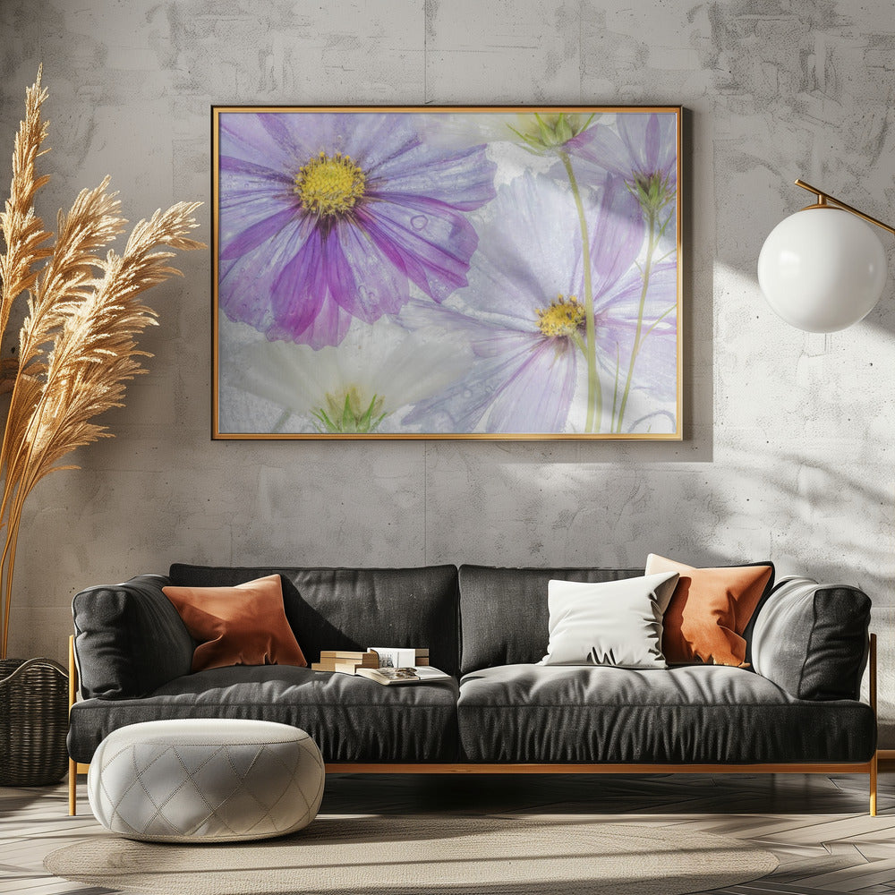 Cosmos cool | Leinwand