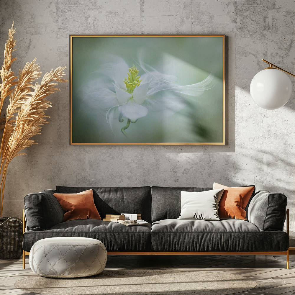 Mystical | Canvas