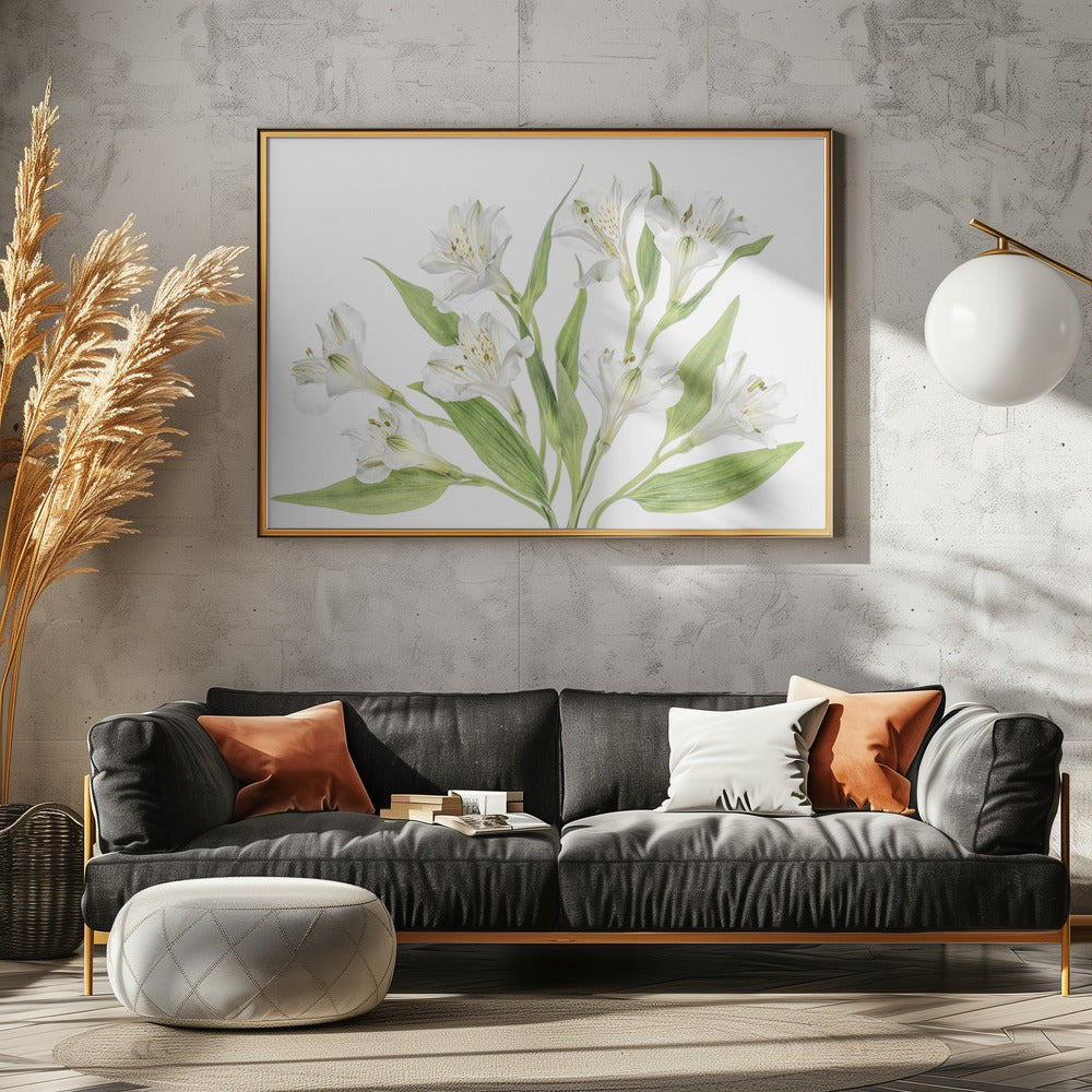 Alstroemeria | Leinwand