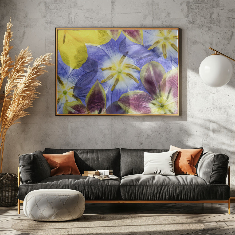 Tulips | Poster