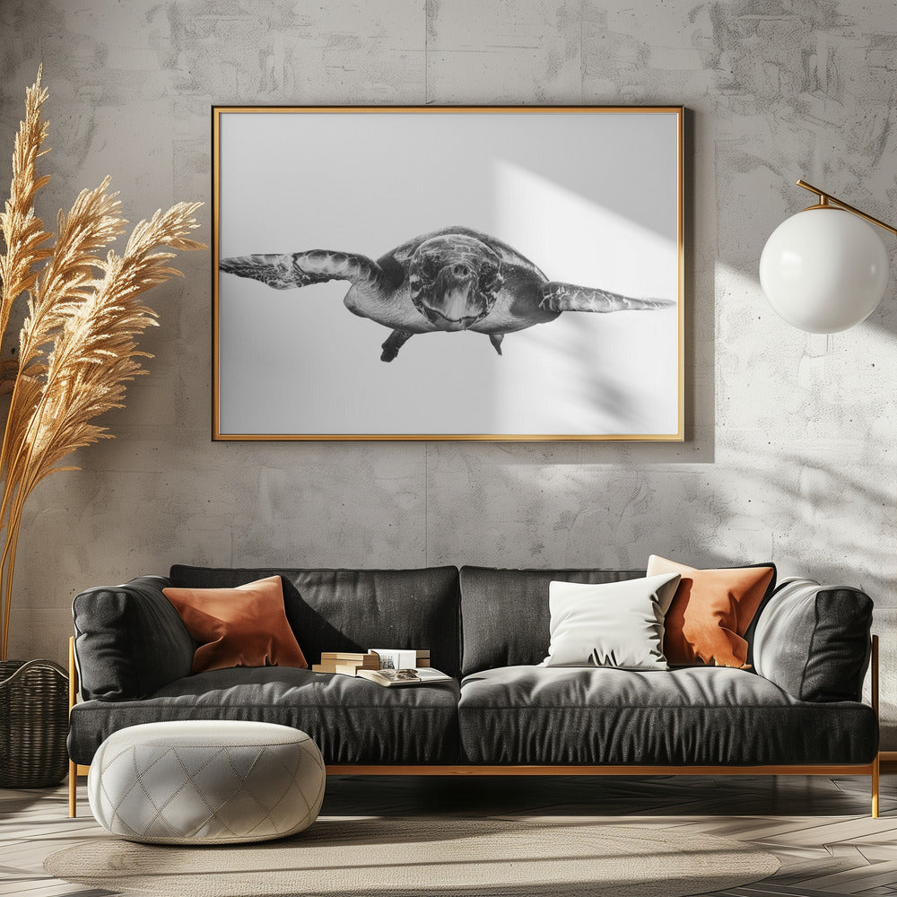 Weiß und Schildkröte | Leinwand