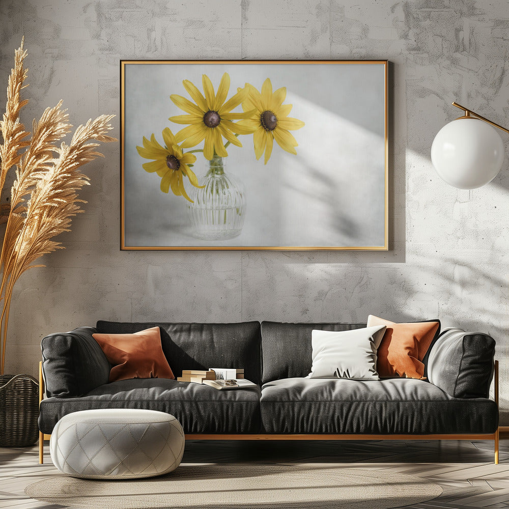 Rudbeckia | Poster