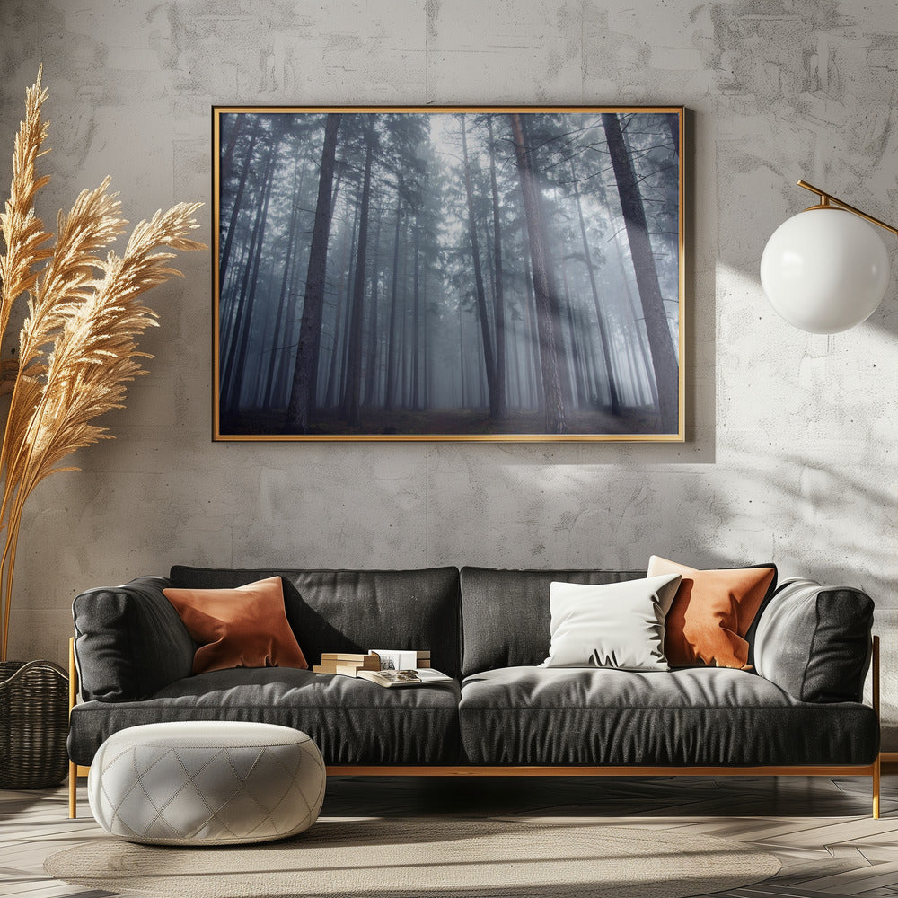Mysterious foggy forest. | Canvas