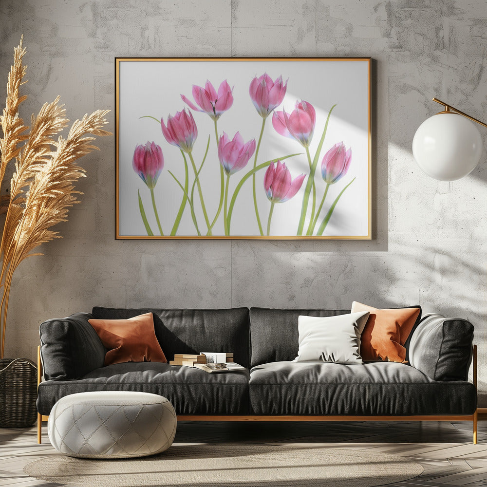 Tulpen-Rouge | Leinwand