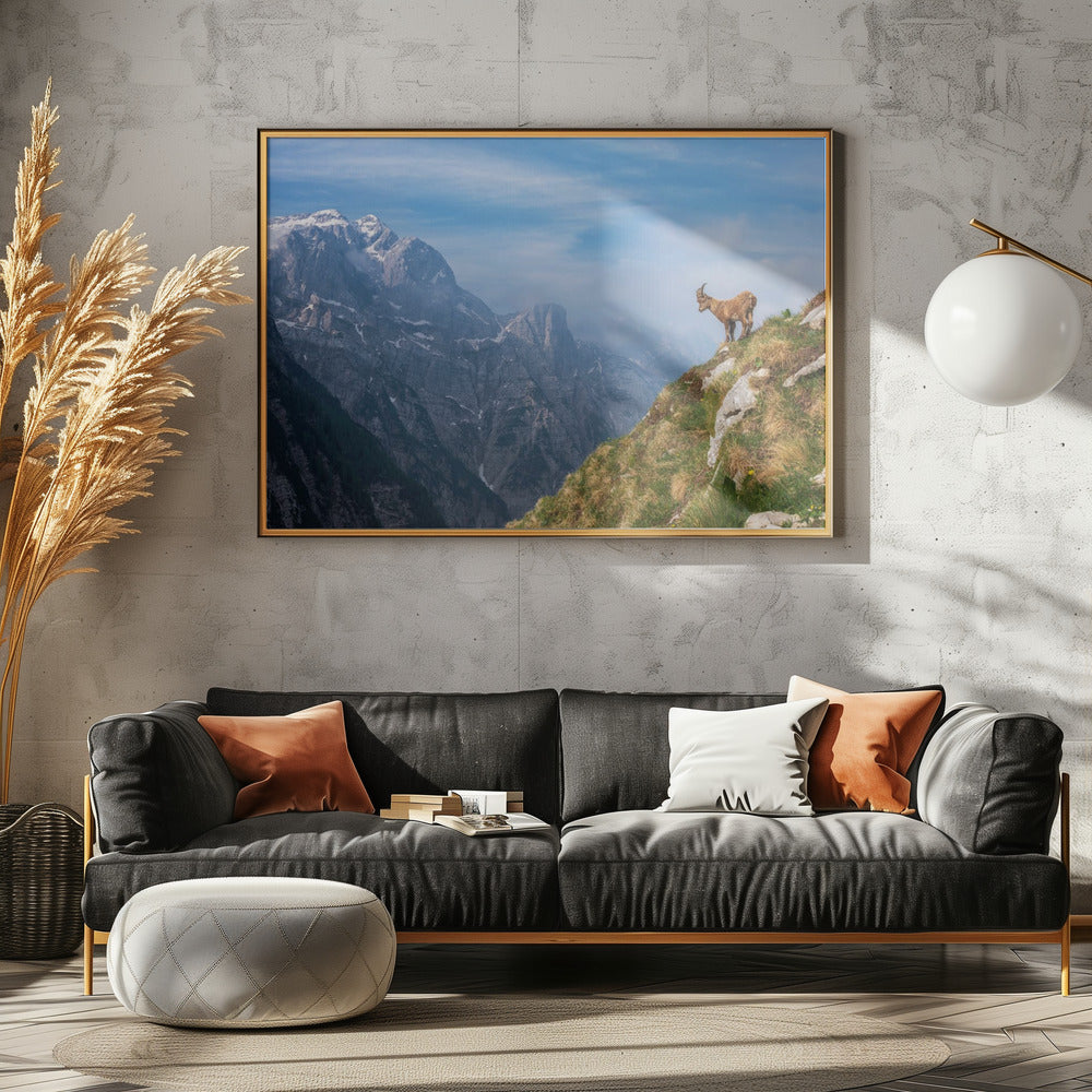 Alpensteinbock im Gebirge | Poster