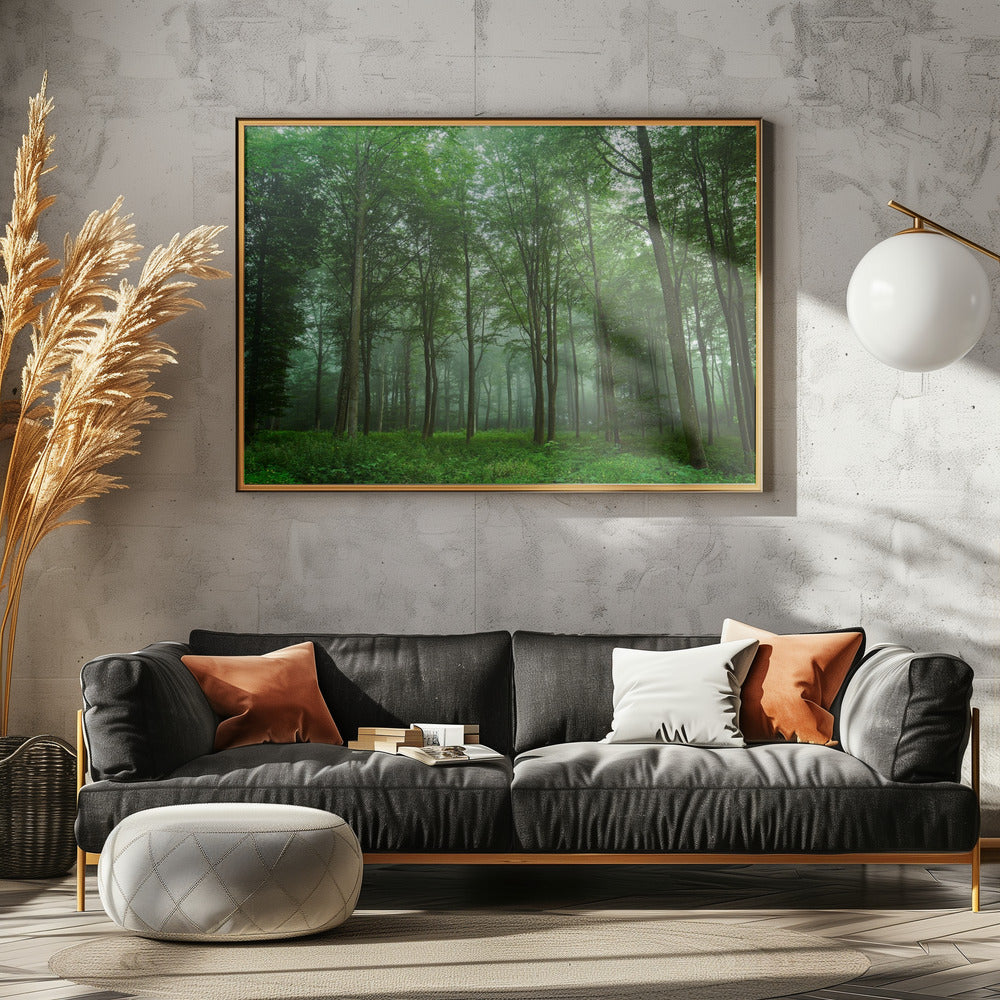 Waldblick | Poster