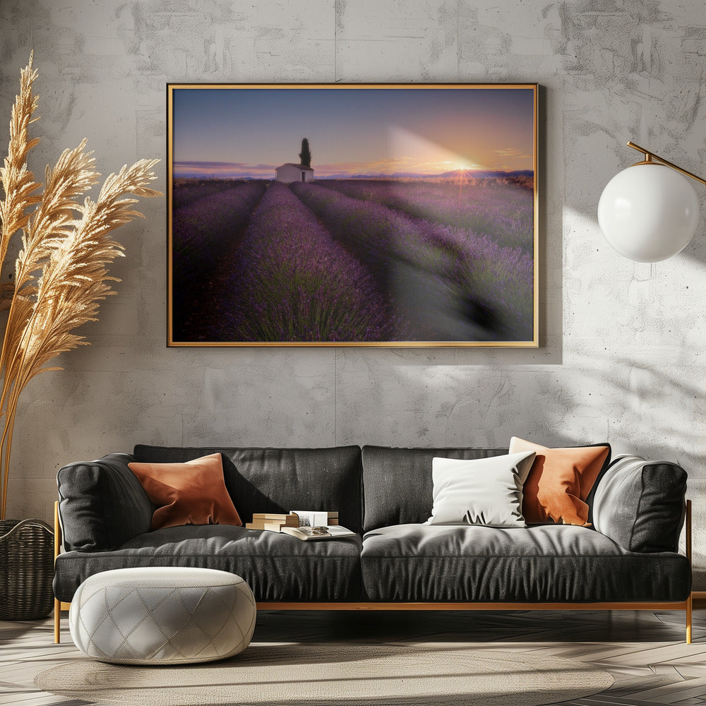 Lavendel aus der Provence | Poster