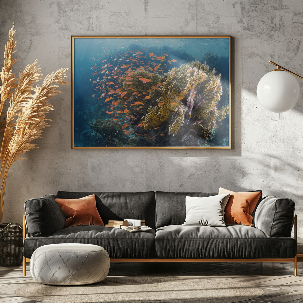 Reefscape | Canvas
