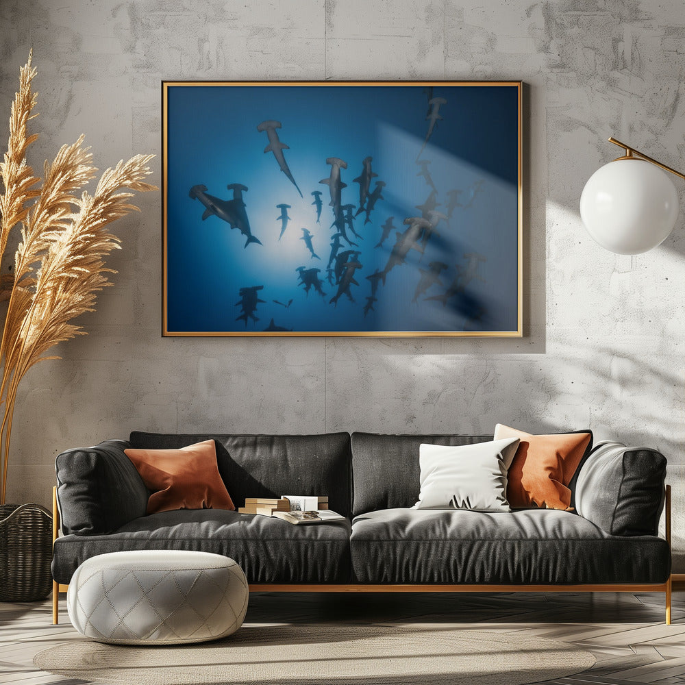 Hammerhai - Unterwasserfotografie | Leinwand
