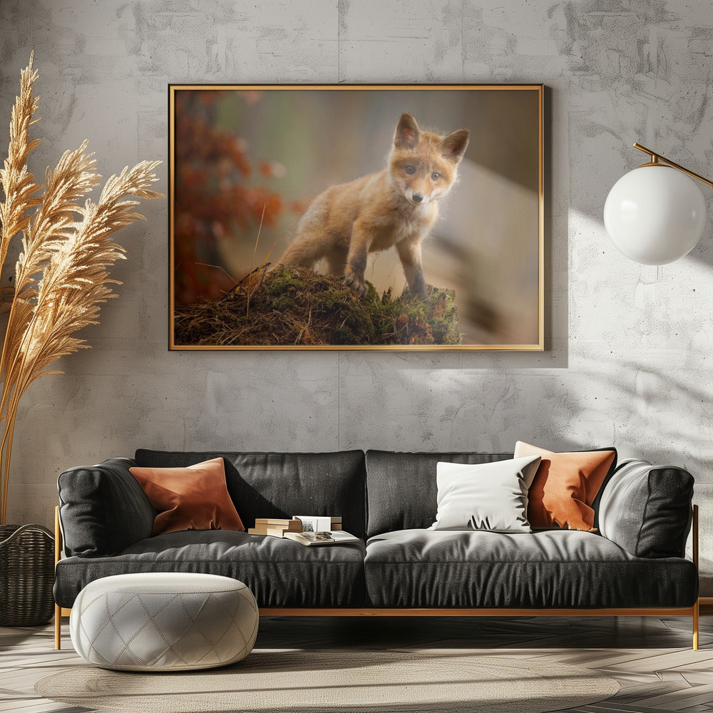 Fuchs | Leinwand