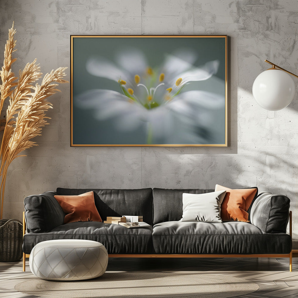 Sternmiere | Leinwand