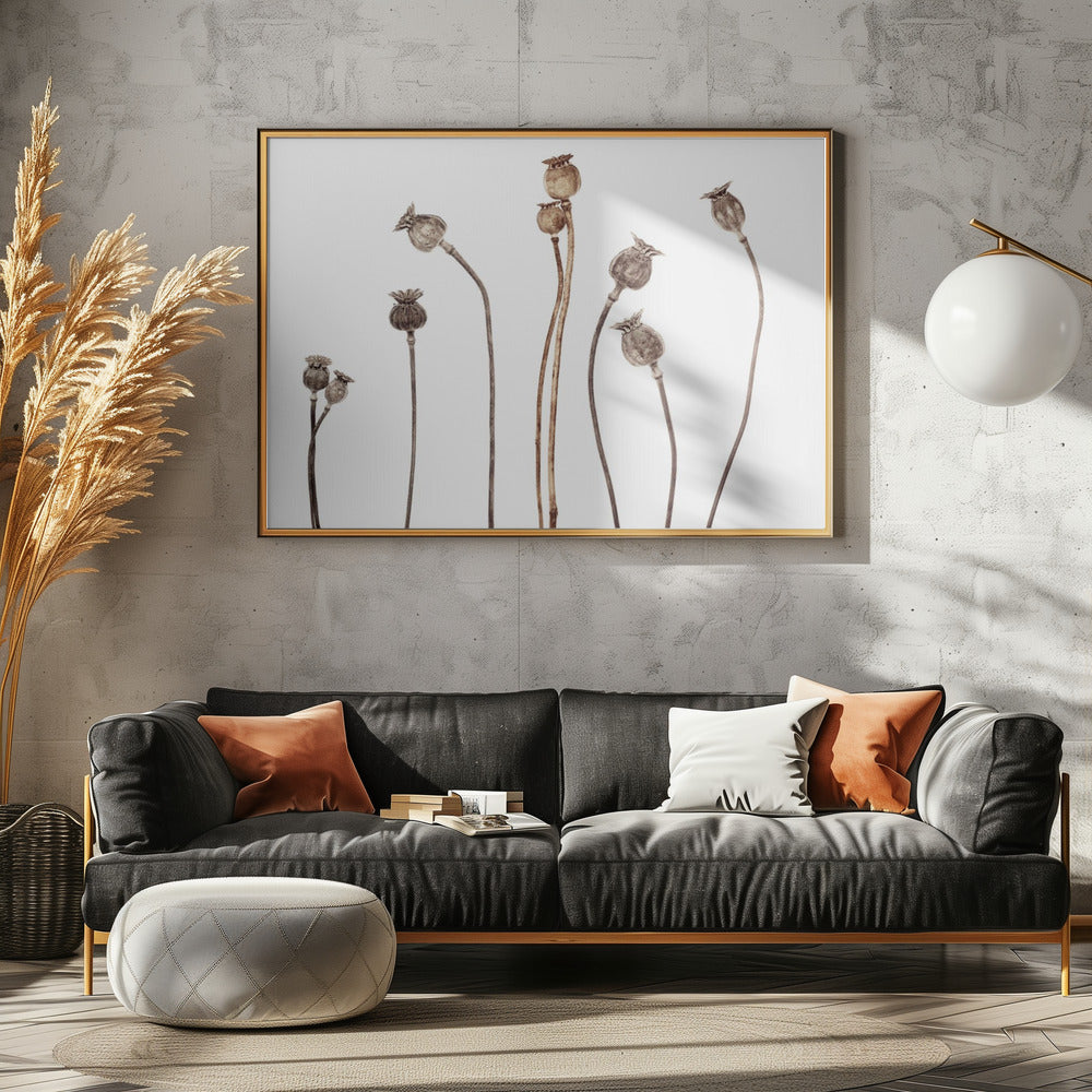 Mohnblumen | Poster