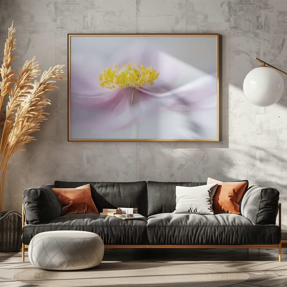 Anemone | Leinwand