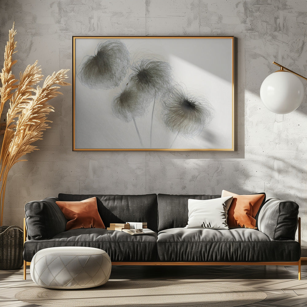 Clematis | Leinwand