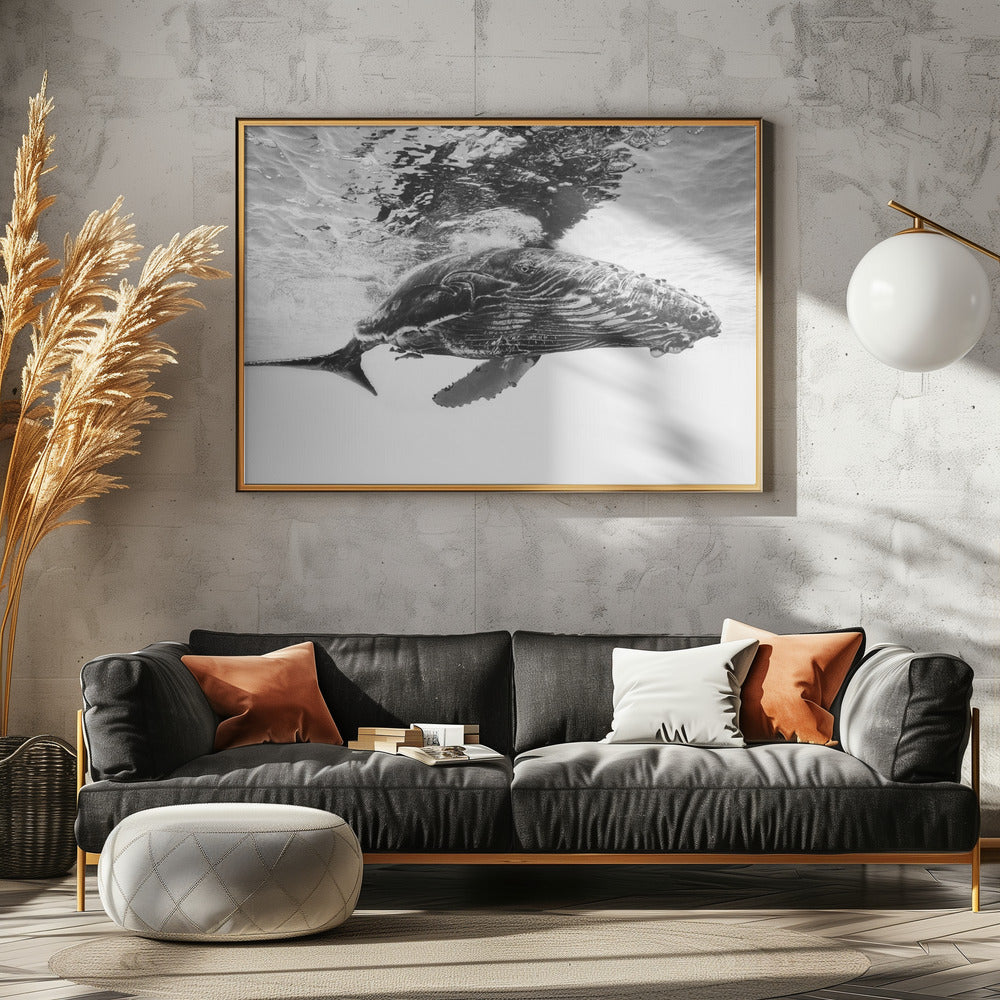 Buckelwal-Kalb | Leinwand