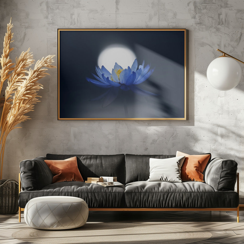Fleeting dream | Poster